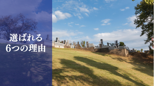 選ばれる6つの理由